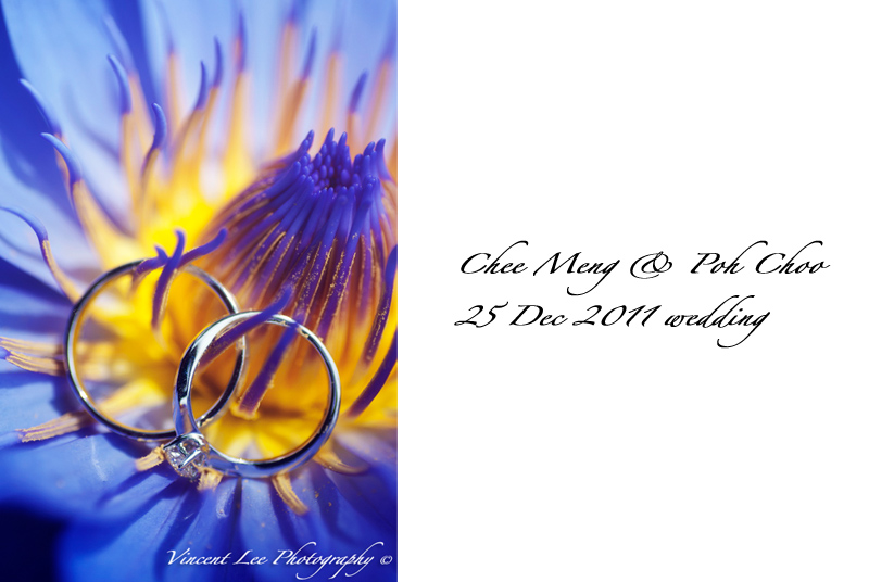 ring and shoe_Poh Choo wedding