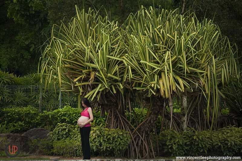 Jasmine maternity portrait