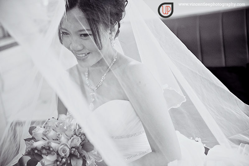 bride of the day-Angel