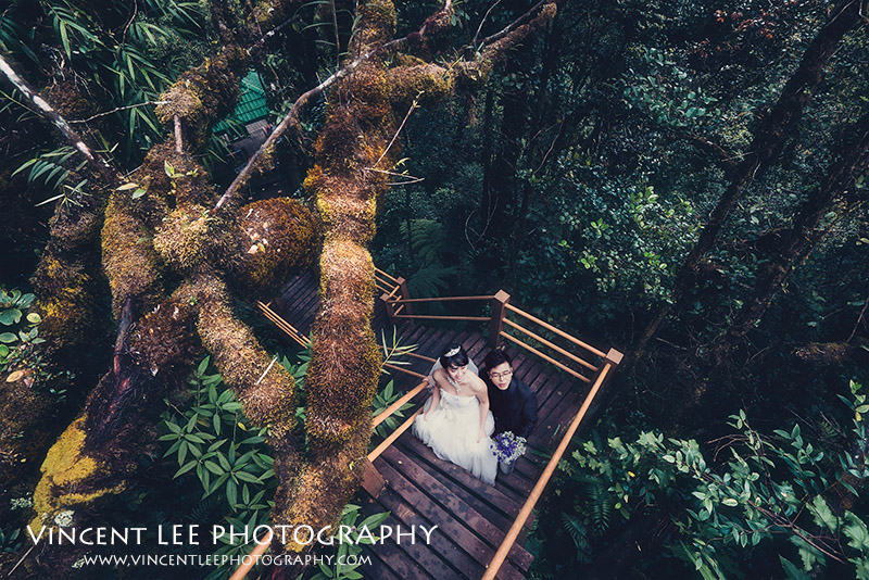 cameron highland pre wedding