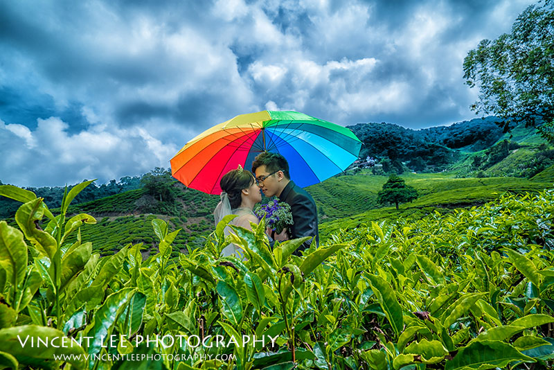 cameron highland pre wedding