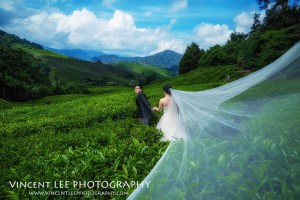 cameron highland pre wedding