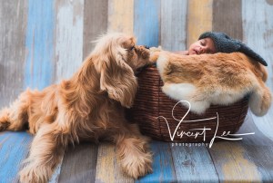 Newborn malaysia portrait vincent lee studio Kuala Lumpur