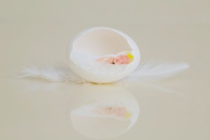 Newborn malaysia portrait vincent lee studio Kuala Lumpur