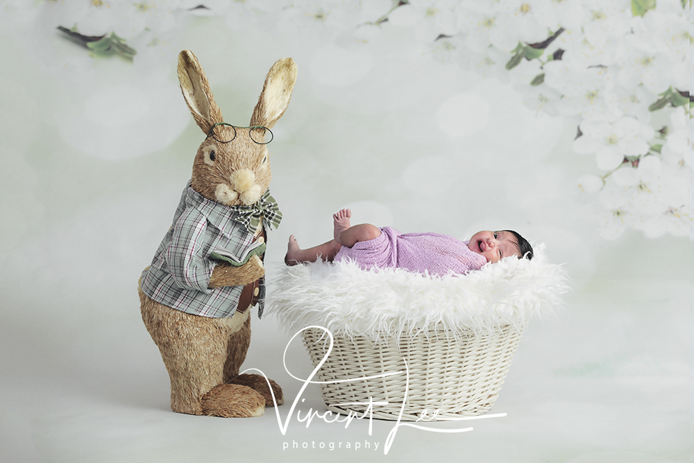 amazing deals newborn with sister photoshoot portrait studio